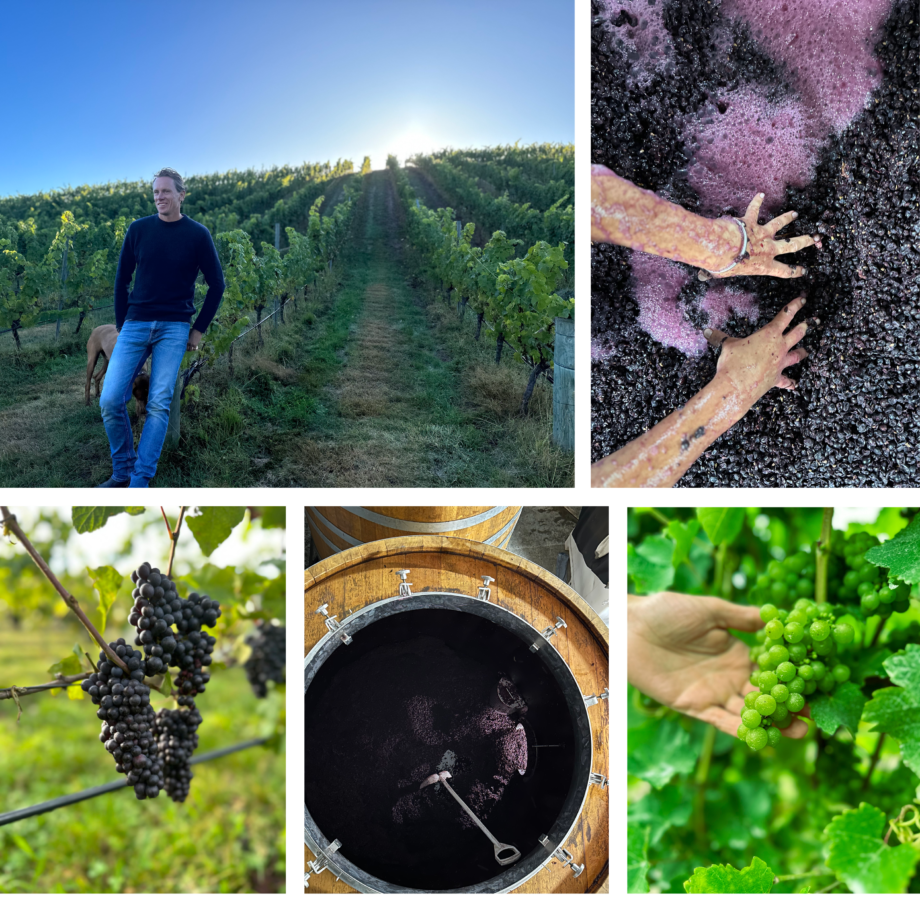 VINTAGE 2023 REPORT Two Rivers